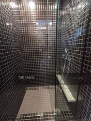 Skysuites@Anson (D2), Apartment #253831881